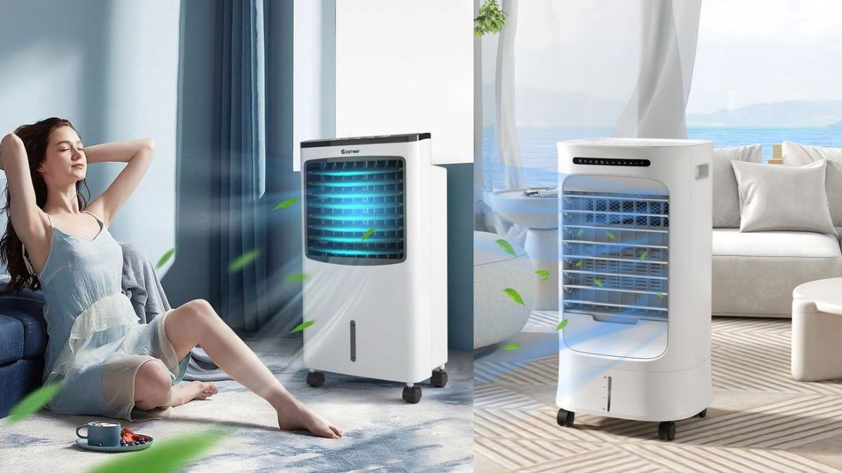 Top Symphony Cooler Models Of 2024 Ideal For Bachelor And Small Families